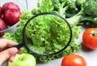 Actualización en Inocuidad Alimentaria